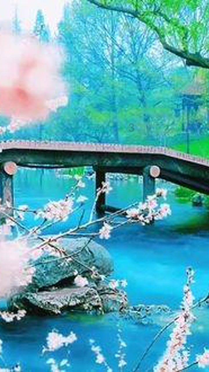 探索更多知识,尽在清朝林绍堂之后还有多少位状元?蜗牛问答平台